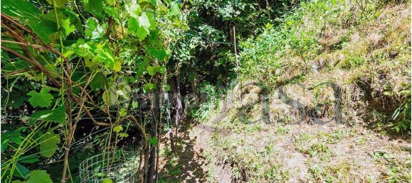 4 bedrooms House in Bellano, Italy No. 337528 41