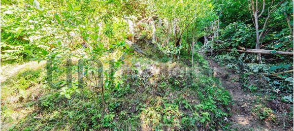 4 bedrooms House in Bellano, Italy No. 337528 44