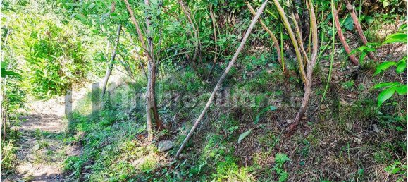 4 bedrooms House in Bellano, Italy No. 337528 39