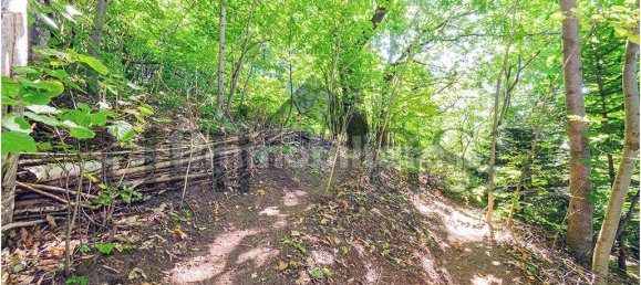 4 bedrooms House in Bellano, Italy No. 337528 37