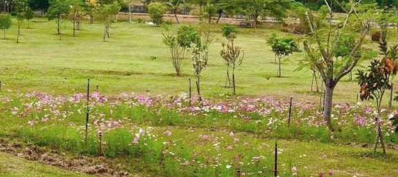  Commercial property in Mae Taeng, Thailand No. 14754 2