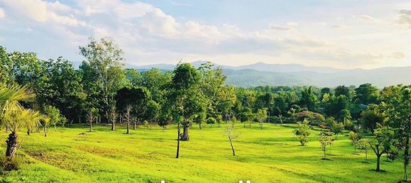  Commercial property in Mae Taeng, Thailand No. 14754 5