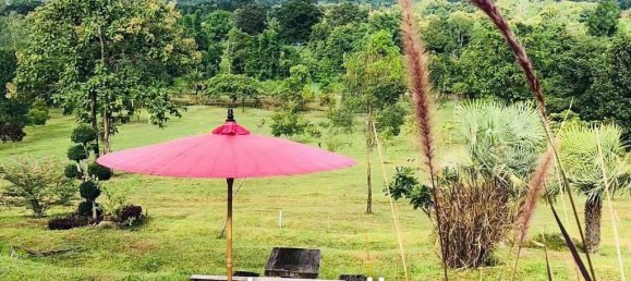  Commercial property in Mae Taeng, Thailand No. 14754 9