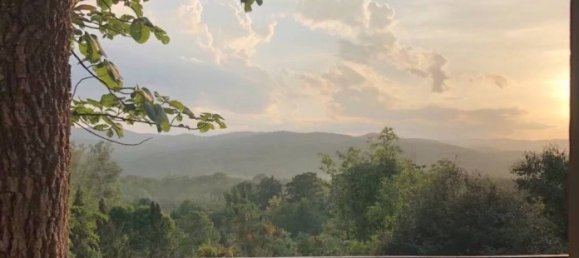  Commercial property in Mae Taeng, Thailand No. 14754 10