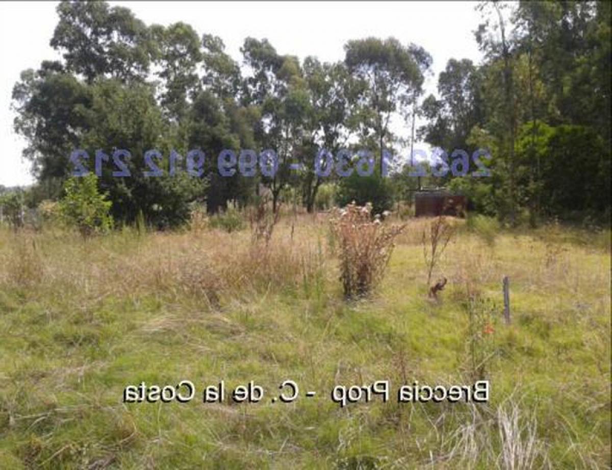 Grundstück in Canelones, Uruguay, Nr. 15500