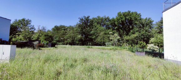 Land in Rhein-Neckar-Kreis, Germany No. 315748 3