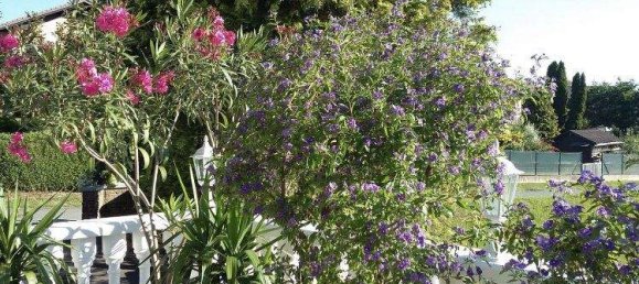 8 rooms House in Ehrenhausen an der Weinstrasse, Austria No. 38630 7