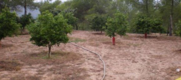 Casa de 2 dormitorios en Sagunto, Spain No. 75747 2