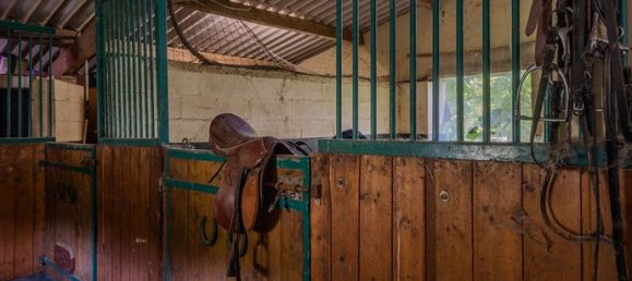 6 bedrooms House in Sarthe, France No. 311088 5