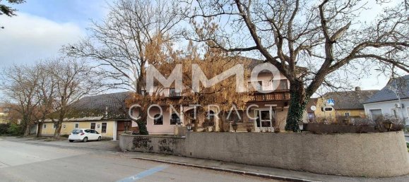 21 room Building in Loosdorf, Austria No. 65824 2