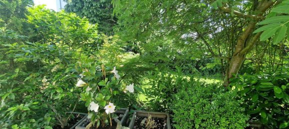 1 chambre Appartement à Lubeck, Germany No. 261825 22