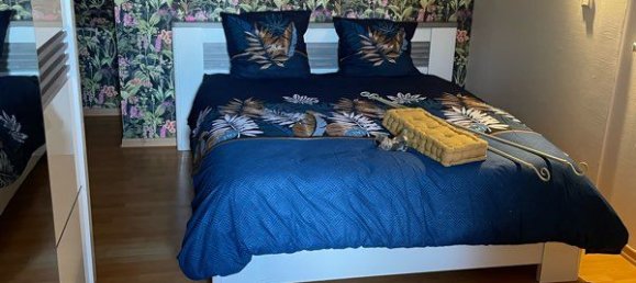 4 Schlafzimmer Haus in Colmar, France, Nr. 329408 3