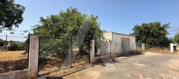 4 غرف نوم فيلا في Quarteira, Portugal رقم 190179 8