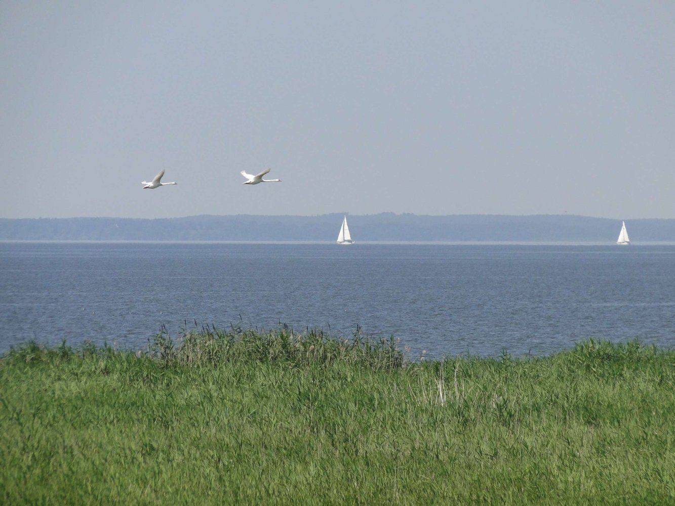 2 Schlafzimmer Haus in Vorpommern-Greifswald, Germany, Nr. 168767
