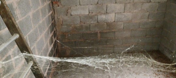 3 Schlafzimmer Haus in Eschwiller, France, Nr. 91662 6