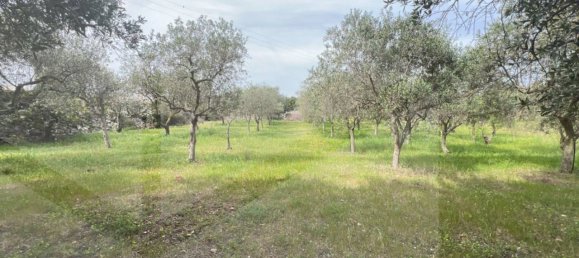 Дом с 2 комнатами в Конверсано, Италия № 27275 12