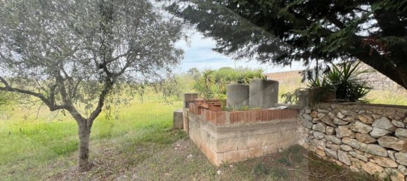 Дом с 2 комнатами в Конверсано, Италия № 27275 14