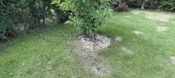 3 chambres Maison à Wittenberg, Germany No. 350680 6