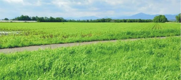 Grundstück in Bolgare, Italy 360140m², Nr. 32448 6