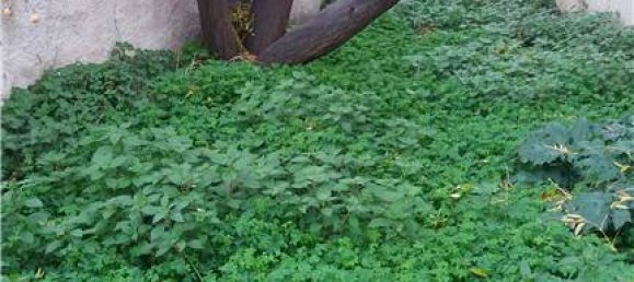 Villa T3 em Marsala, Italy N.º 121212 4