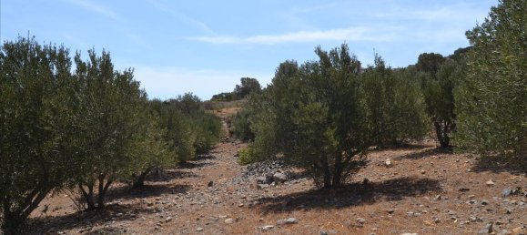 Hôtel à Agios Nikolaos, Greece 5850m² No. 6731 2