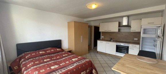 Studio in Zell am See, Austria No. 131610 4