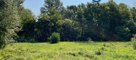 1935m² Land in Frassinelle Polesine, Italy No. 68872 4