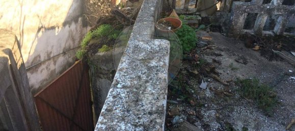 4 bedrooms House in Sardoal, Portugal No. 20628 9