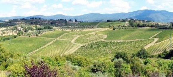 3 rooms Villa in Pontassieve, Italy No. 45360 28