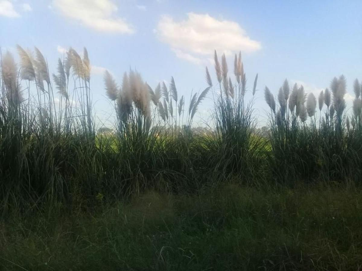  Land in Ezeiza, Argentina No. 47711