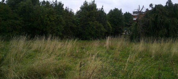 6000m² Land in Torre Boldone, Italy No. 310903 5