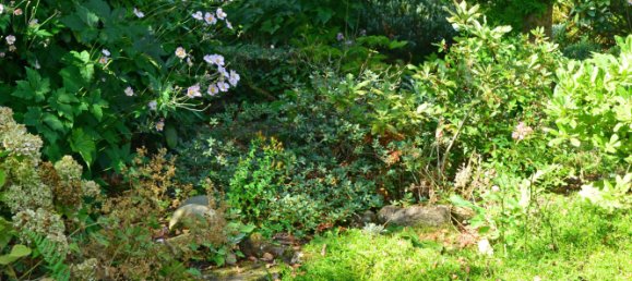 2 غرف نوم فيلا في Pirmasens, Germany رقم 218371 28