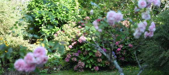 2 غرف نوم فيلا في Pirmasens, Germany رقم 218371 26