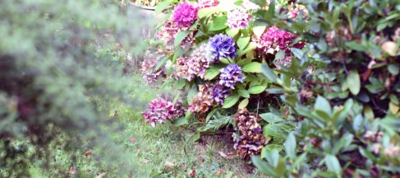 2 غرف نوم فيلا في Pirmasens, Germany رقم 218371 25