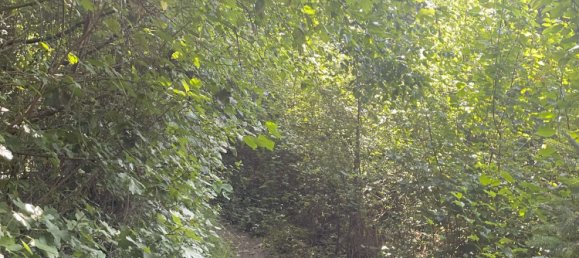 Apartamento de 1 dormitorio en Munich, Germany No. 337569 6