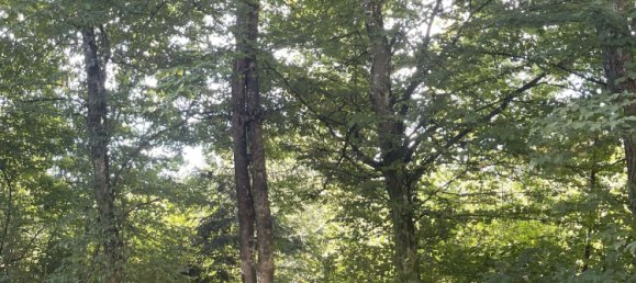 Apartamento de 1 dormitorio en Munich, Germany No. 337569 4