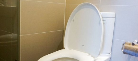 2 bedrooms Apartment in Thu Duc, Vietnam No. 16473 12