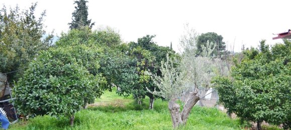 5 غرف نوم منزل في Chalcis, Greece رقم 93603 2