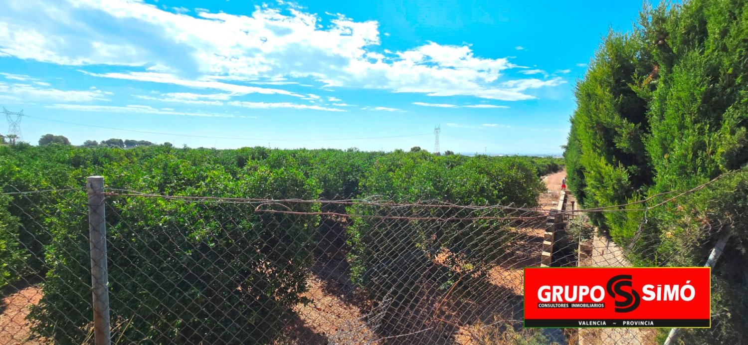 20000m² Land in Naquera, Spain No. 258369