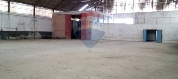  مستودع في Casalmaggiore, Italy 1638متر مربع رقم 262314 12