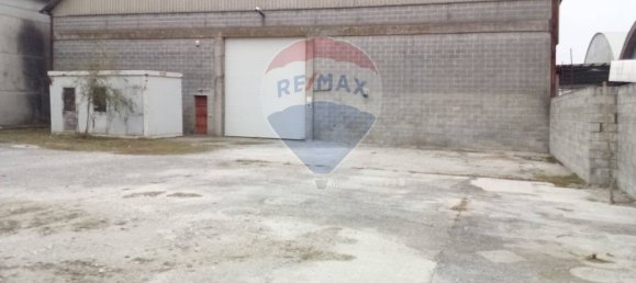  مستودع في Casalmaggiore, Italy 1638متر مربع رقم 262314 21