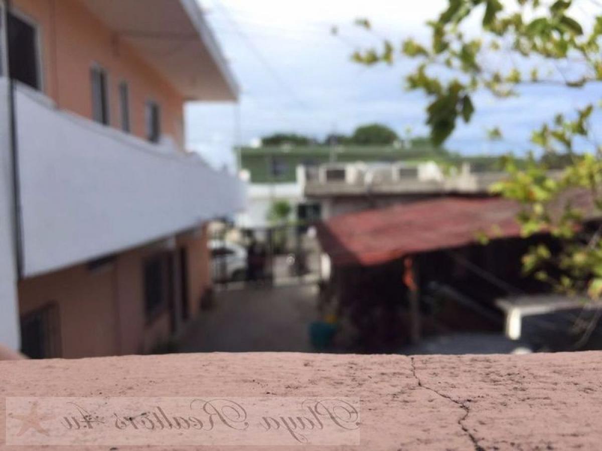 309m² Building in Solidaridad, Mexico No. 199746