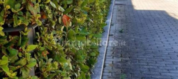 2 Schlafzimmer Wohnung in Sant'Elpidio a Mare, Italy, Nr. 294640 4