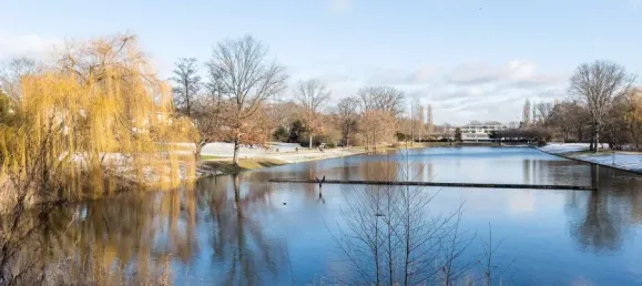 1 chambre Appartement à Mariendorf, Germany No. 51291 14