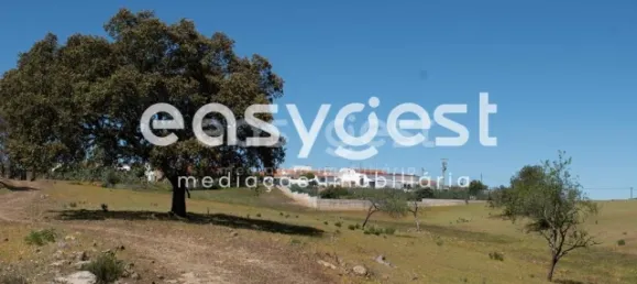 Grundstück in Azinhal, Portugal, Nr. 40632 10