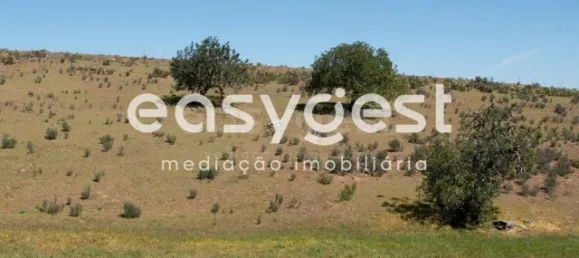 Grundstück in Azinhal, Portugal, Nr. 40632 2