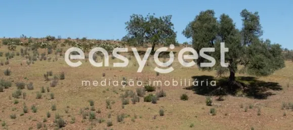 Grundstück in Azinhal, Portugal, Nr. 40632 13