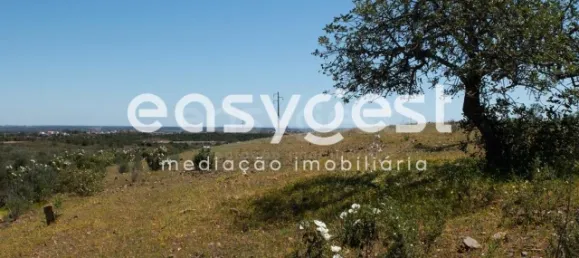 Grundstück in Azinhal, Portugal, Nr. 40632 14