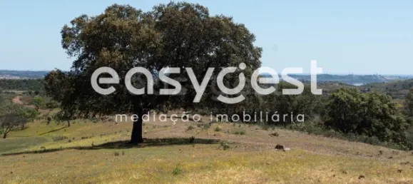 Grundstück in Azinhal, Portugal, Nr. 40632 6