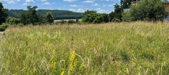  Land in Gussing, Austria No. 77126 2